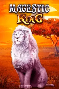 Gioco di Slot1